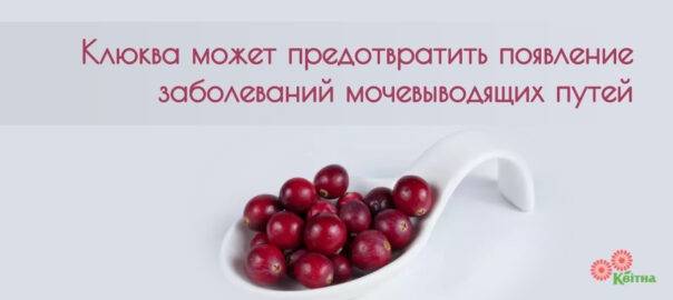 eat a cranberry day (2) - PosterMyWall